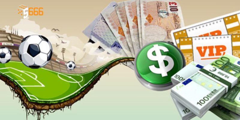 Các bước đăng ký đại lý S666 minh họa chi tiết