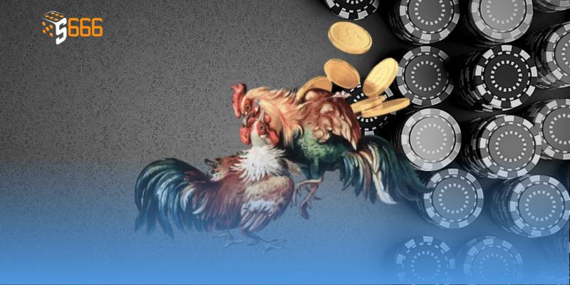 Chi tiết trận đấu trực tiếp đá gà C1 trên livestream