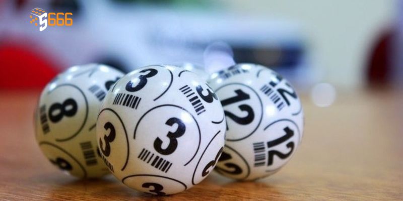 Lô 3 Nháy Là Gì Trong Cá Cược Và Cách Chơi Hiệu Quả