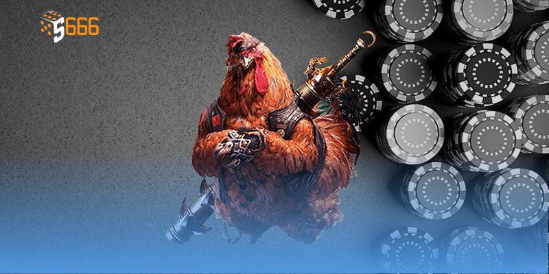 Không khí kịch tính, sôi động tại trường gà Thomo