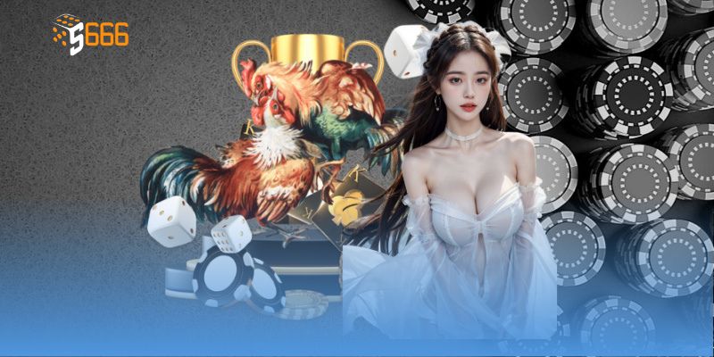 Liệt kê các loại trận đấu trực tiếp đá gà C1 phổ biến