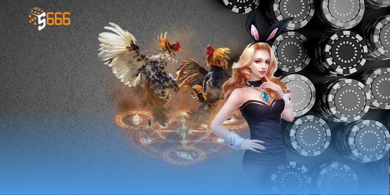 Người chơi tận hưởng trực tiếp đá gà C1 sôi động hấp dẫn