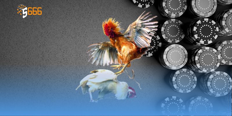 Đá Gà Mạng Trải Nghiệm Hấp Dẫn Và Tiện Lợi Với Người Xem
